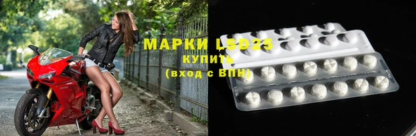 гидра Горнозаводск