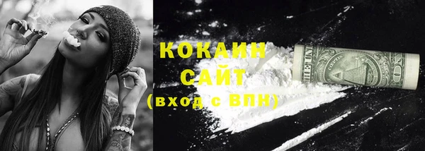 гидра Горнозаводск