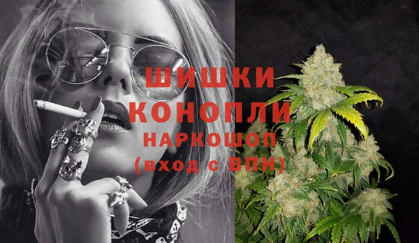 гидра Горнозаводск