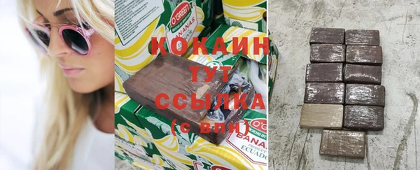 гидра Горнозаводск