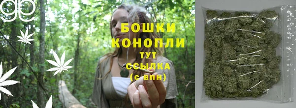 бошки Гусев