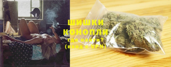 гидра Горнозаводск